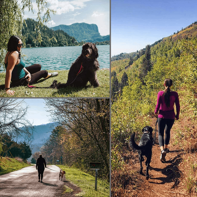 421947221