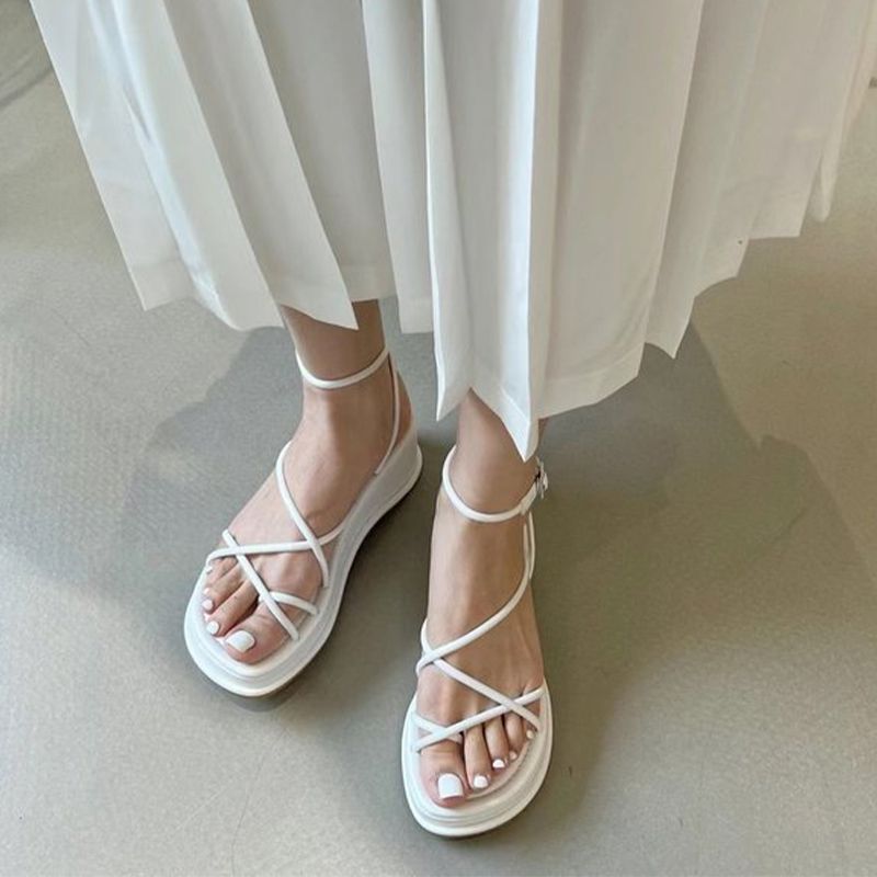 416003341